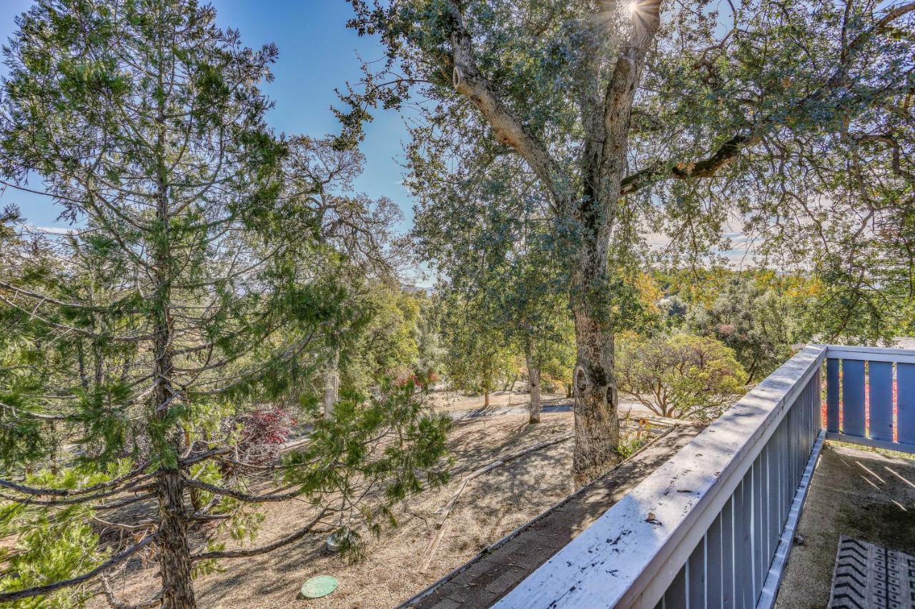Cozy Studio With Well-Being Retreat Near Yosemite! Авани Экстерьер фото