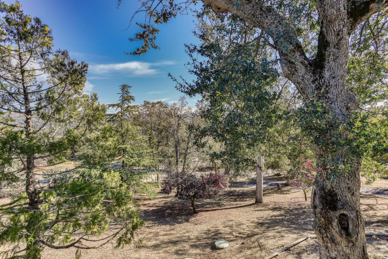 Cozy Studio With Well-Being Retreat Near Yosemite! Авани Экстерьер фото