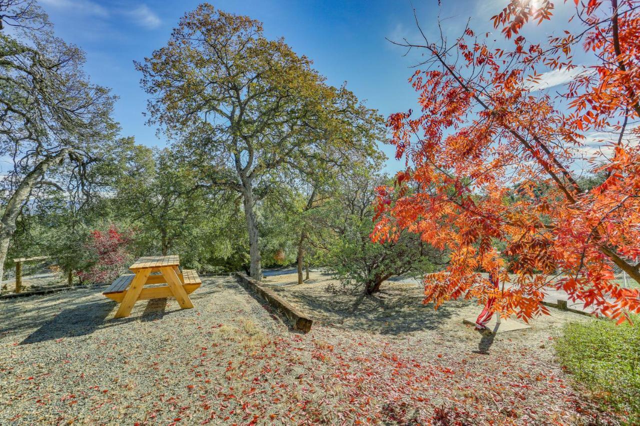 Cozy Studio With Well-Being Retreat Near Yosemite! Авани Экстерьер фото